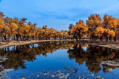 微软挖角SIE日本工作室副总裁 担任日本业务合作总监